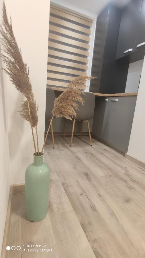 Popasu din oras Apartment Baia Mare Bagian luar foto