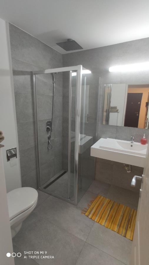 Popasu din oras Apartment Baia Mare Bagian luar foto